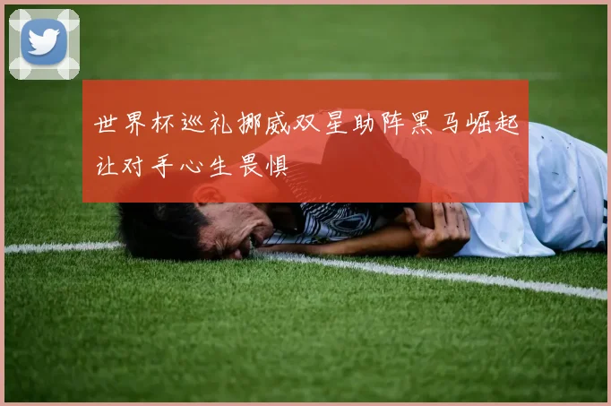 世界杯巡礼挪威双星助阵黑马崛起让对手心生畏惧
