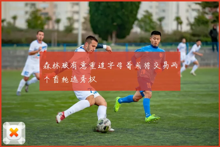 森林狼有意重追字母哥或将交易两个首轮选秀权