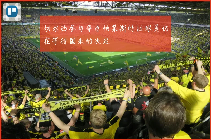 切尔西参与争夺帕莱斯特拉球员仍在等待国米的决定